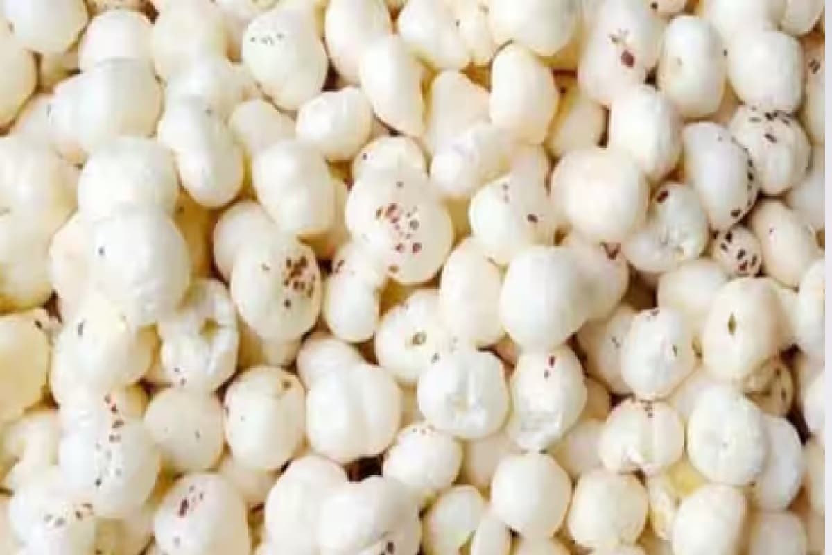 पीएम ने किया मखाना का बखान, बिहार ने तैयार किया एक्शन प्लान, हैरान करने वाले हैं इसके जबरदस्‍त फायदे