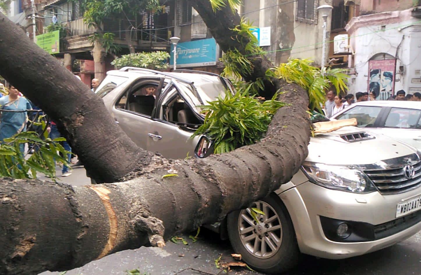 Weather Alert: दिल्ली में मौसम की करवट, धूल भरी आंधी से कई पेड़ गिरे, बारिश का अलर्ट, Video