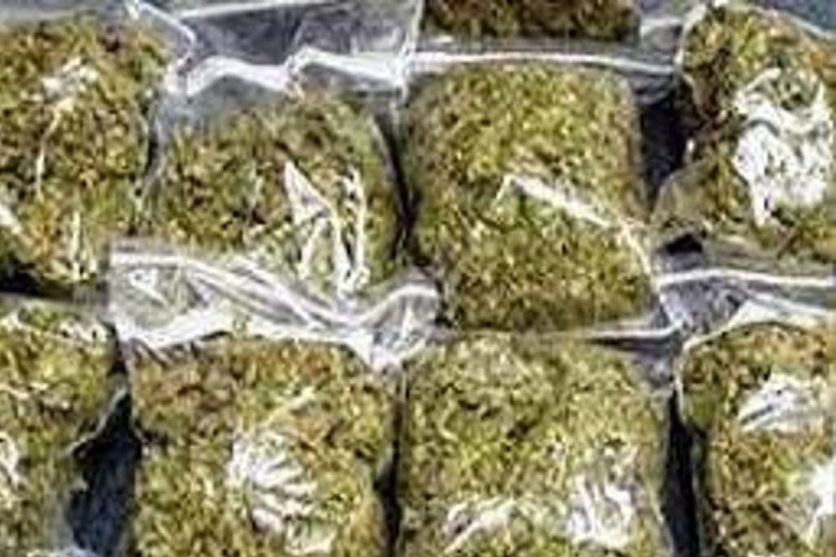 Bihar News: पूर्वी चंपारण में 675 किलो गांजा बरामद, कंटेनर में छुपाकर नेपाल से लाई जा रही थी गांजे की खेप