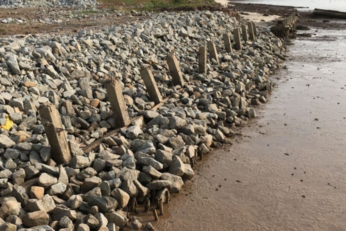 Bihar News: भागलपुर मसाढ़ के लिए 26 करोड़ के एंटी-एरोजन प्रोजेक्ट को मिली मंजूरी, उजड़ने से बचेगा गांव