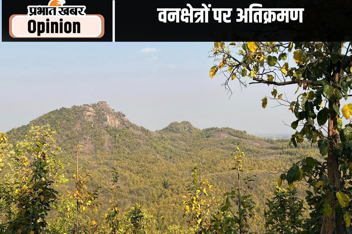 वनक्षेत्रों पर अतिक्रमण