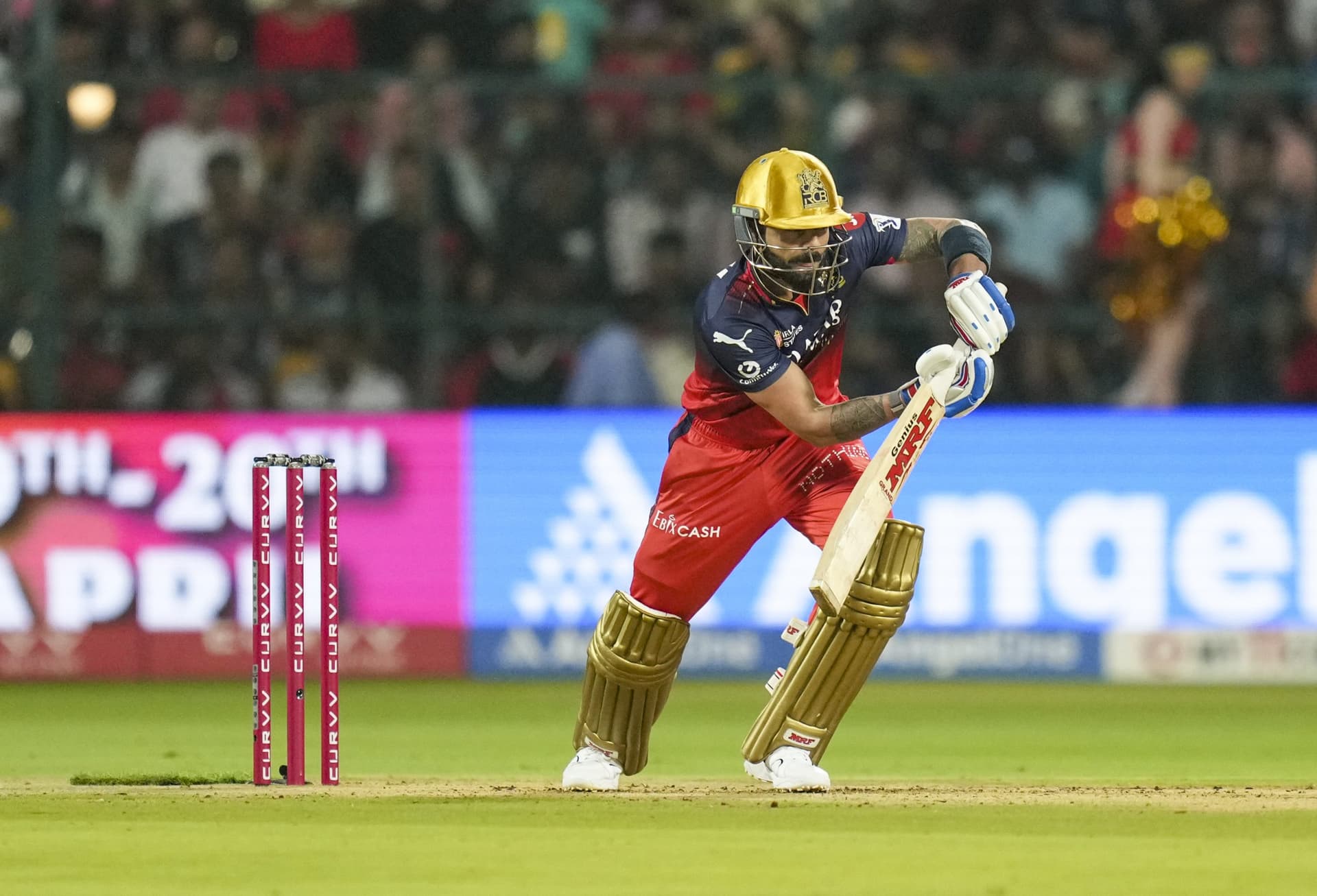 हाय रे RCB! 1 रन पर आउट क्या हुए कोहली, घर में पूरी टीम 95 पर सिमटी