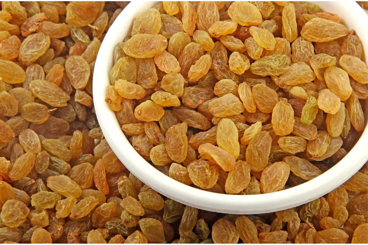 Benefits Of Eating Raisins In Summer: रोजाना किशमिश खाएं और गर्मी में रहें फिट, जानें इसके जबरदस्त फायदे
