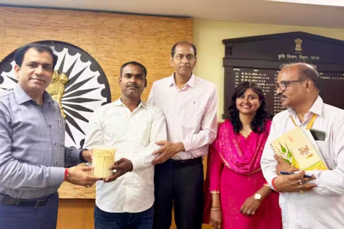 बिहार में किसानों के लिए खुशखबरी, स्वीट कॉर्न और बेबी कॉर्न की खेती को मिलेगा अब बढ़ावा