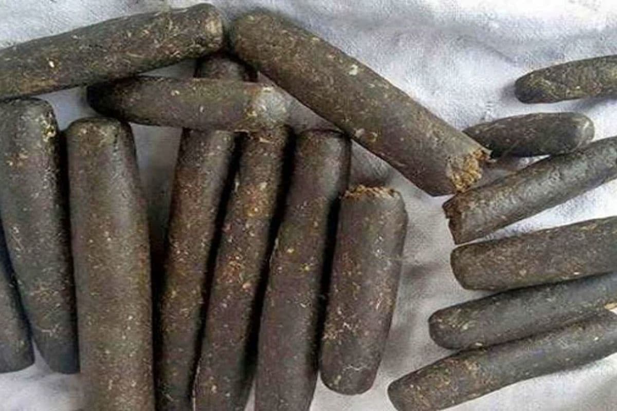 बिहार में चरस तस्करों की स्कॉर्पियो पुलिस के जाल में फंसी, 1 किलो माल और हथियार के साथ चार गिरफ्तार