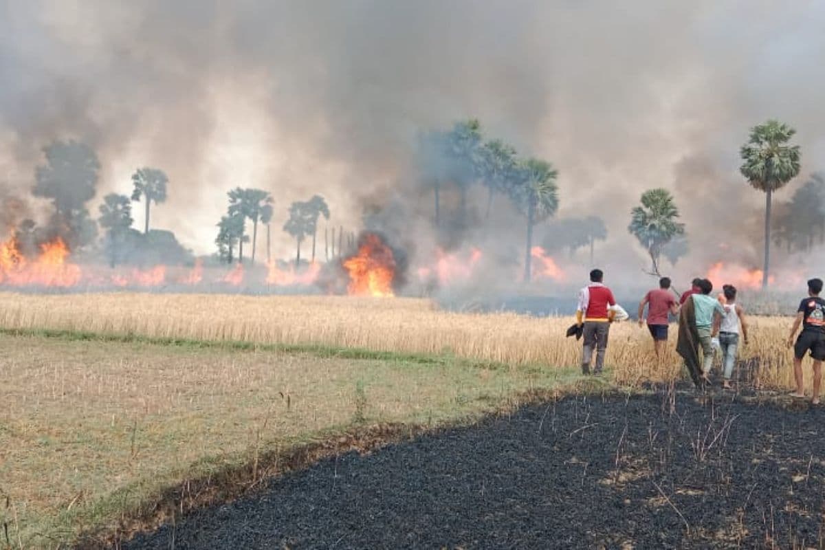Bihar News: गया में 30 बीघा फसल जलकर हुई राख, किसान हुए बदहवास