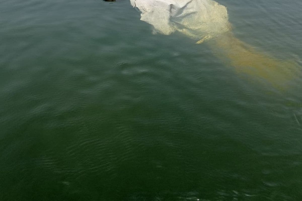 गिरिडीह के खंडोली में तैरता मिला अधेड़ का शव, पहचान में जुटी पुलिस