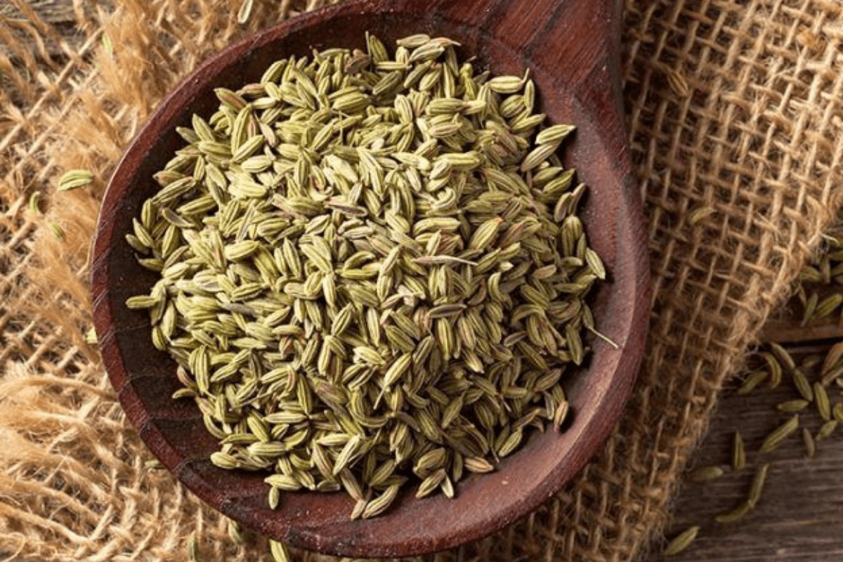 Benefits of Fennel Seeds: सोने से पहले सौंफ चबाने से क्या होता है?
