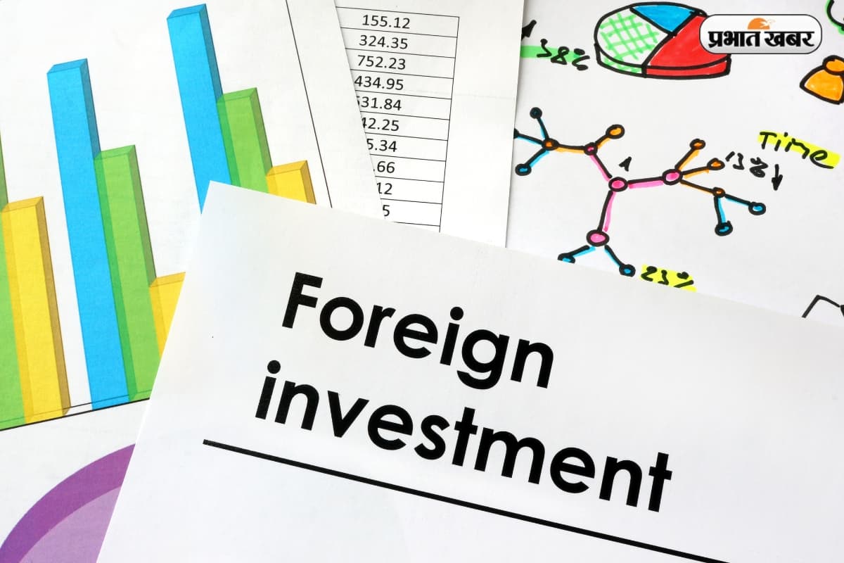 ट्रंप के टैरिफ ट्रबल से एफपीआई शेयर मार्केट से कर रहे निकासी? क्या कहते हैं वीके विजय कुमार