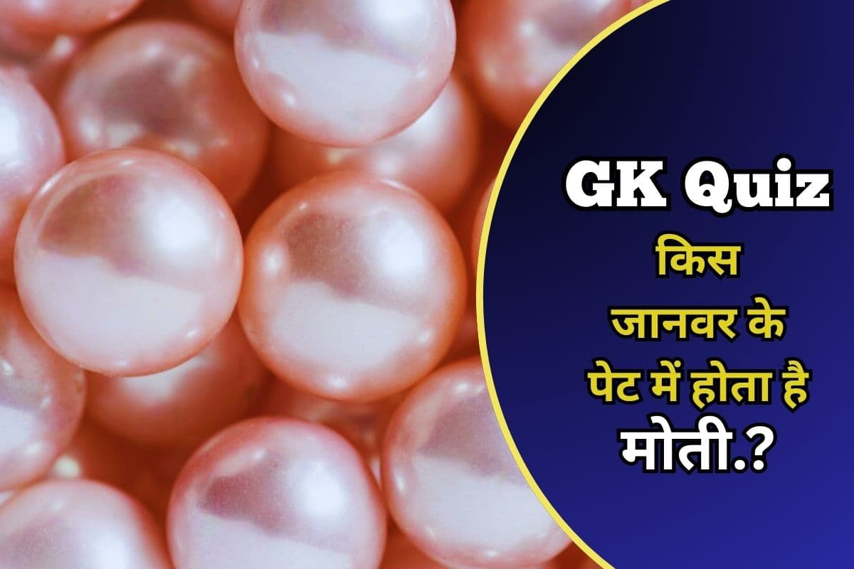 GK Tricky Questions: किस जानवर के पेट में होता है मोती, नहीं जानते होंगे आप, देखें 10 ट्रिकी सवाल-जवाब