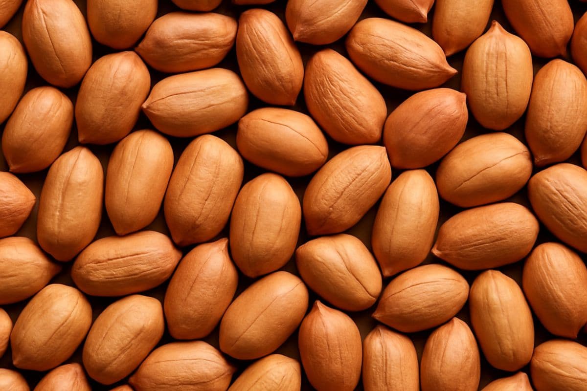 Health Tips: देखने में छोटे हैं पर फायदे हैं बड़े, सेहतमंद रहने के लिए करें इनका सेवन