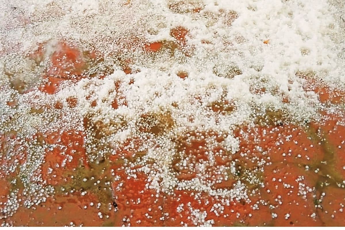 झारखंड का तापमान 44 डिग्री के पार, सागर में बने चक्रवात से आज वज्रपात और ओले का अलर्ट