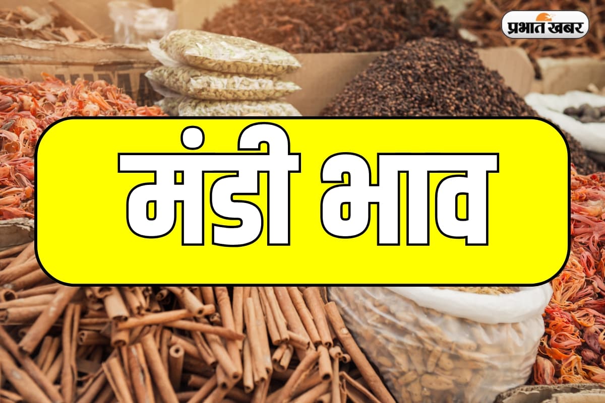 Mandi Bhav 18 April: क्या है 18 अप्रैल के ताजे मंडी भाव? जानिए प्रमुख कृषि उत्पादों के दाम