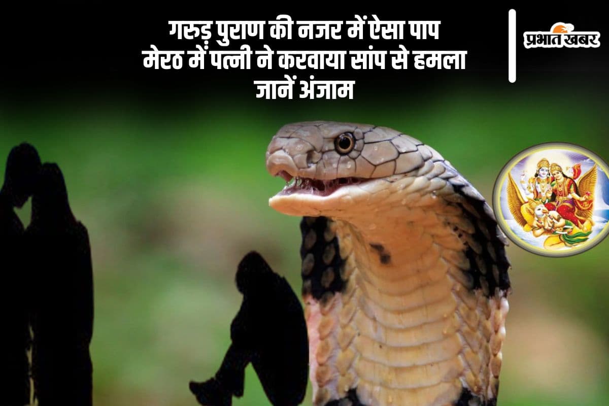 मेरठ में पत्नी का खौफनाक प्लान, प्रेमी संग मिलकर करवाया सांप से हमला, जानें गरुड़ पुराण में इसका दंड