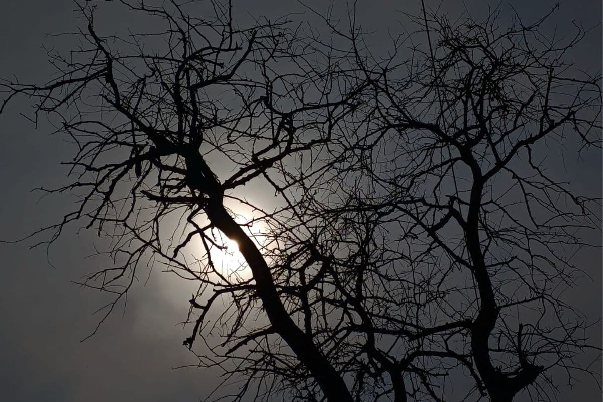 Muzaffarpur Weather: मुजफ्फरपुर में बदला मौसम का मिजाज, प्रचंड गर्मी से मिली राहत