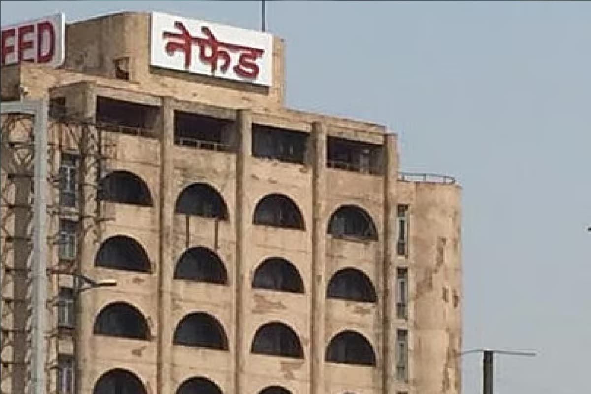 नेफेड की बिकवाली की अफवाह से टूटा बाजार, गिर गए तेल-तिलहन के दाम