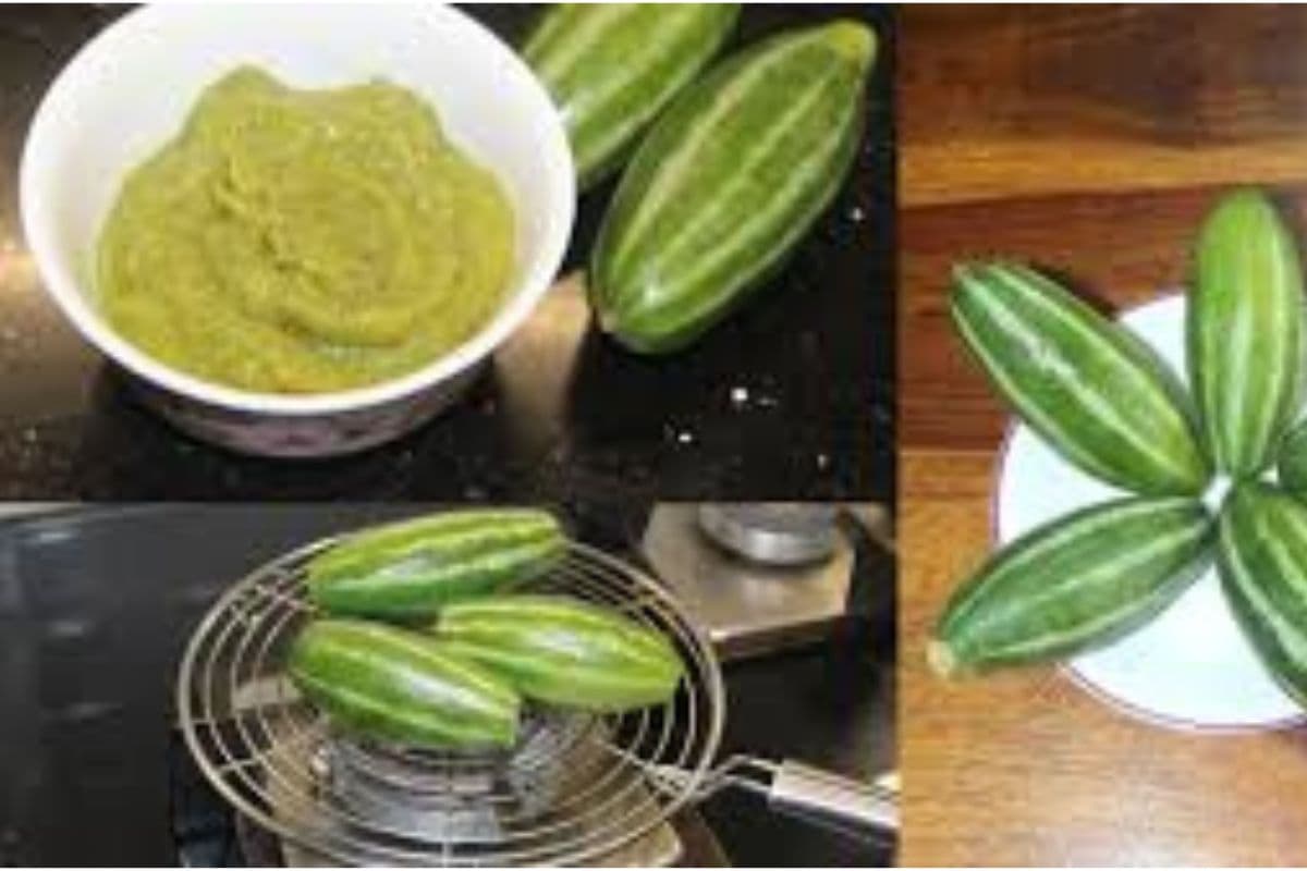 Parwal Chutney Recipe: क्या आपने कभी खाया है परवल की चटपटी चटनी,एक बार जरूर करें ट्राई