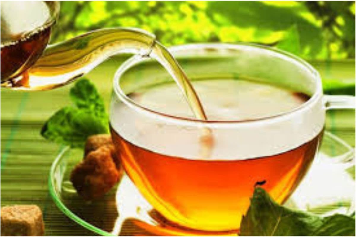 Premature White Hair Natural Remedy: अगर आप भी सफेद बालों को करना चाहते है काला तो आज से ही पीना शुरु कर दें चाय