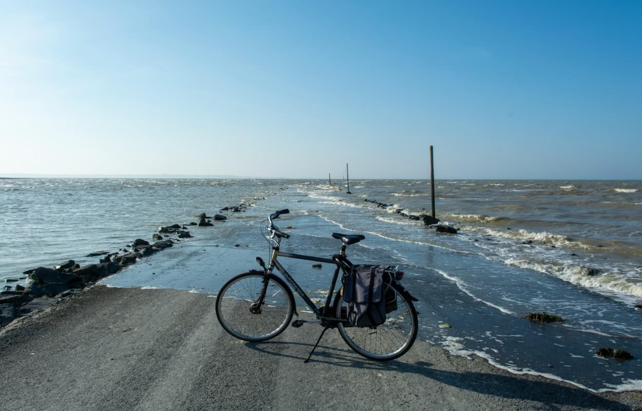 Road That Disappears Twice A Day: दिन में दो घंटे दिखती है सड़क फिर हो जाती है गायब, क्या है इसका रहस्य?