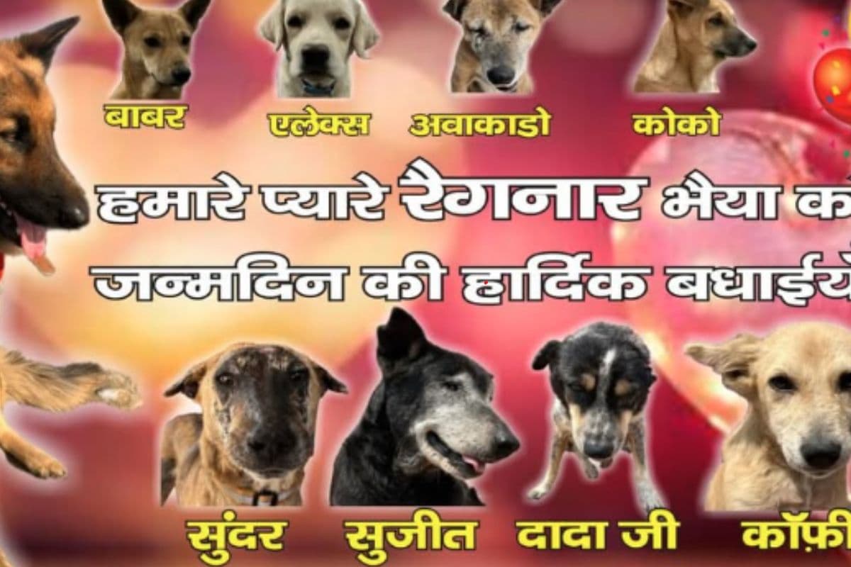 डॉग रैगनार का बर्थडे वाला पोस्टर, Pic Credit- thebanjaaraboy instagram ID