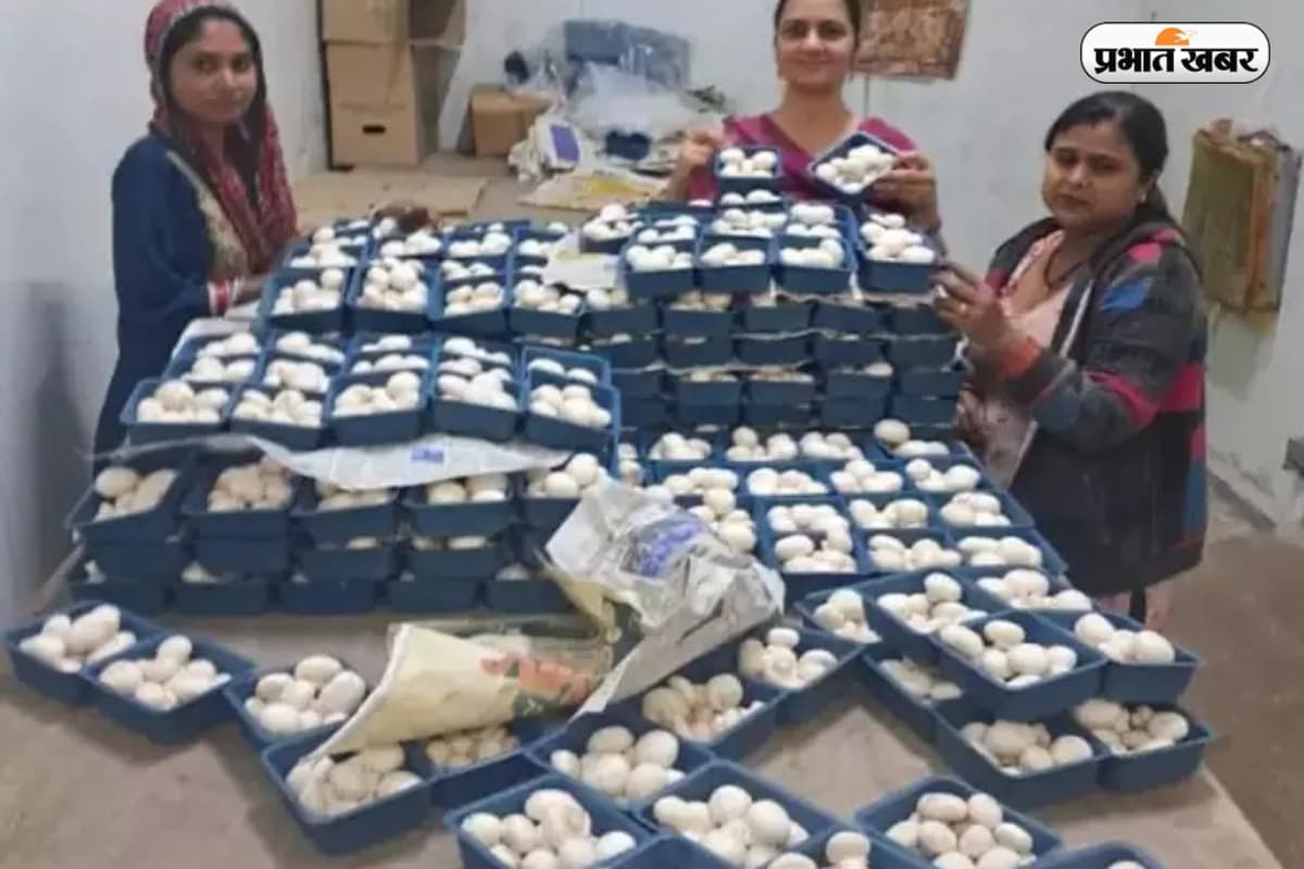 Success Story: ‘तू नौकरी कर, खेती तेरे बस की नहीं’ लेकिन सोनिया ने बना दिया लाखों का मशरूम फार्म