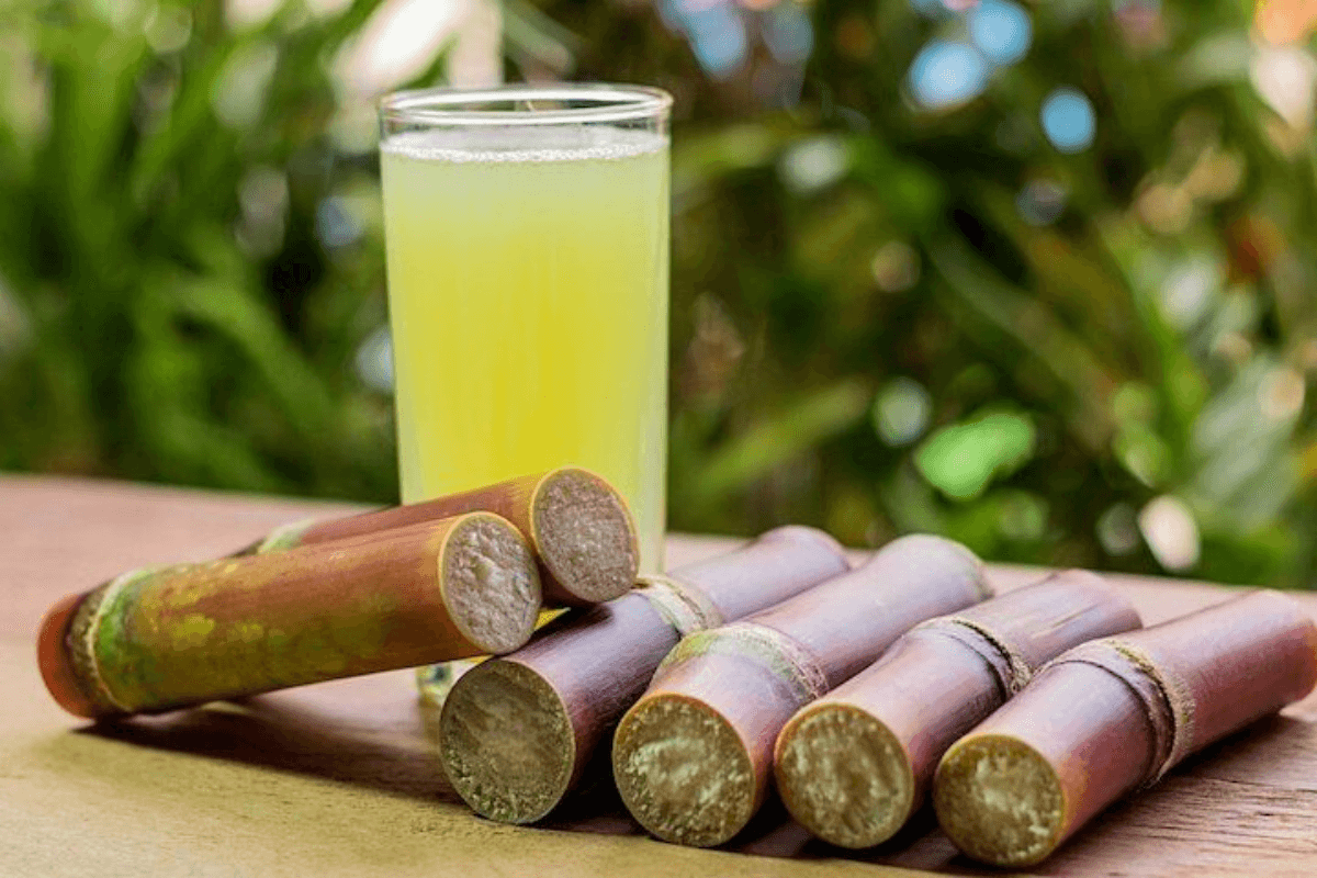 10 Unknown Facts About Sugarcane Juice: गन्ने का जूस क्यों नहीं किया जाता स्टोर और कितनी देर में हो जाता है खराब- गन्ने के रस से जुड़ी 10 अनजानी  बातें