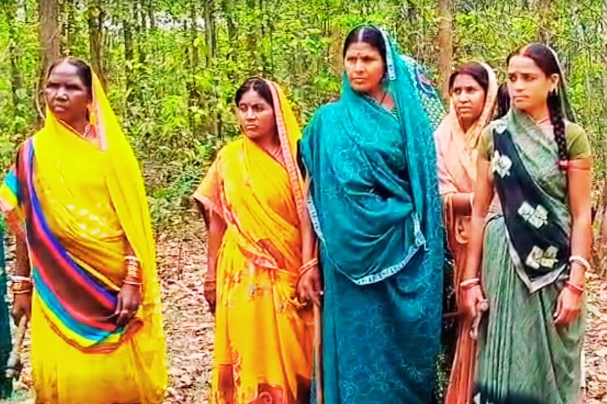 3 दशक से आधी आबादी की कुल्हाड़ी की सुरक्षा में 2200 एकड़ में फैला तुकतुको जंगल