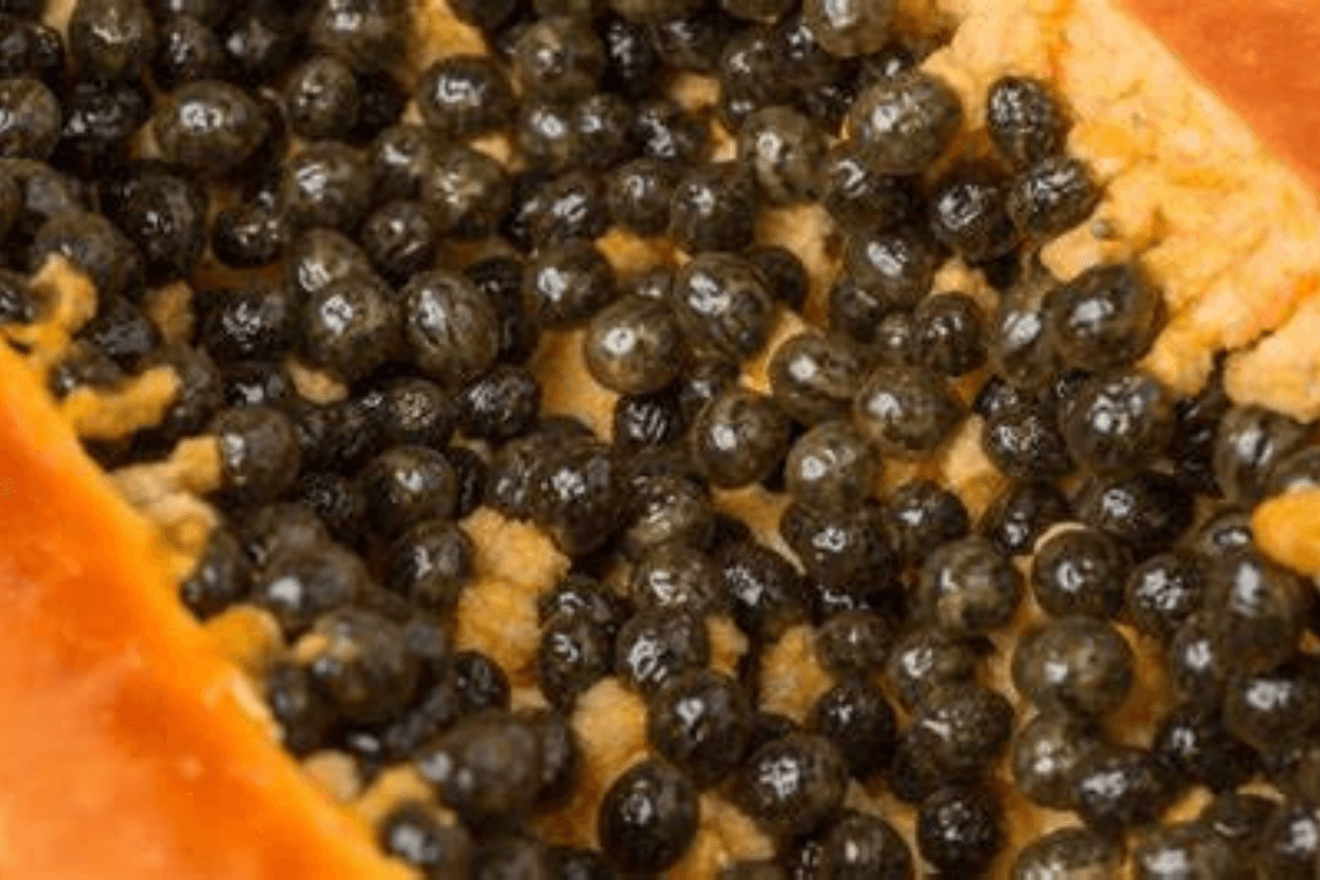 Papaya Seed Benefits: बेकार समझ फेंक देते हैं लोग ये बीज, आप भी न करे गलती, फायदे जान हैरान जाएंगे