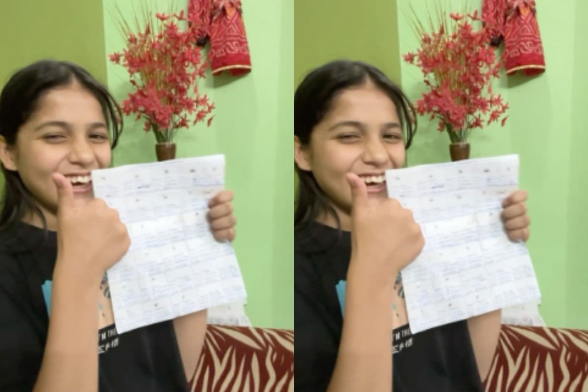 मच्छरों को मारकर देती है नाम, सजाती है कमरा, लड़की के अनोखे शौक का वीडियो वायरल