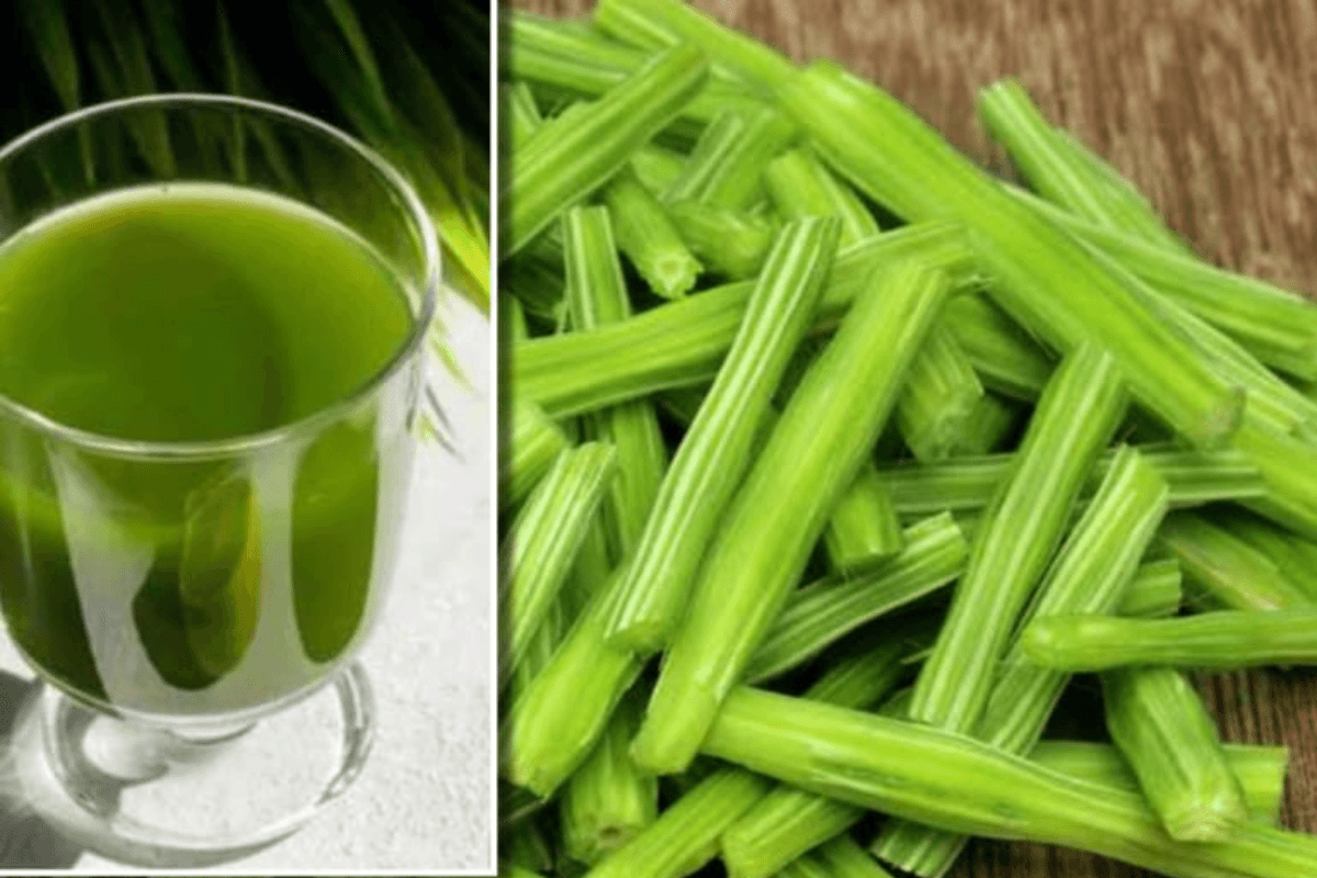 Moringa Water Benefits: रोज सुबह पिएं सहजन का पानी, फायदे जानकर रह जाएंगे दंग