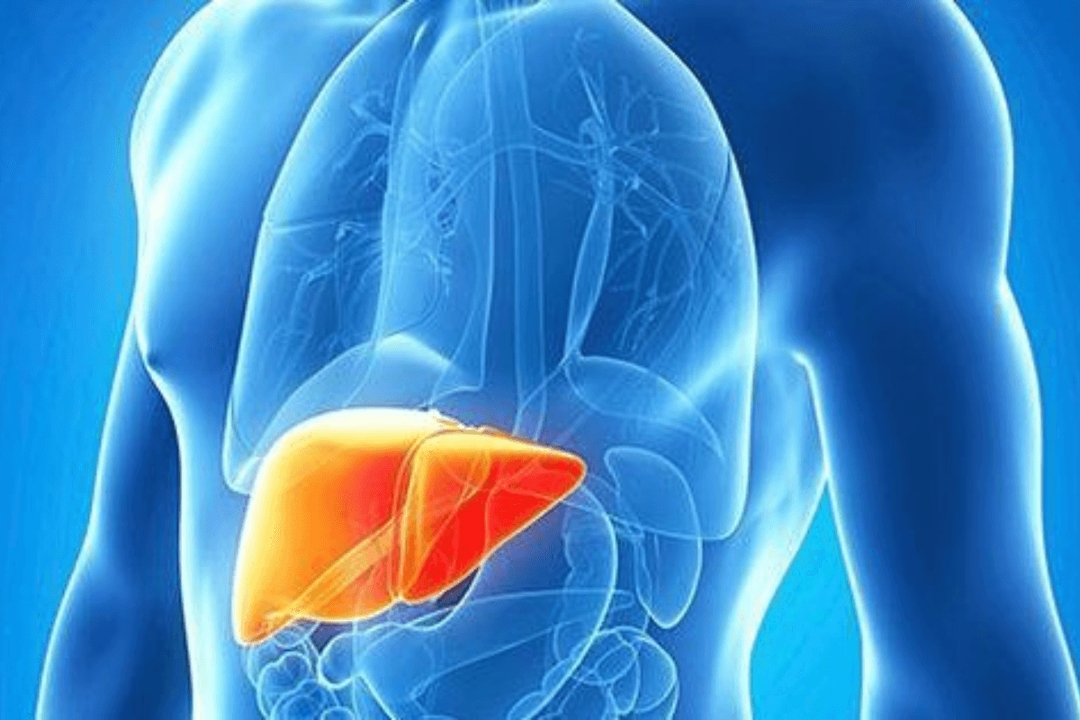 Liver Detox Drinks: लिवर में जमी गदंगी को निकाल फेकेगा ये डेटॉक्स ड्रिंक्स, मिलेंगे गजब के फायदे