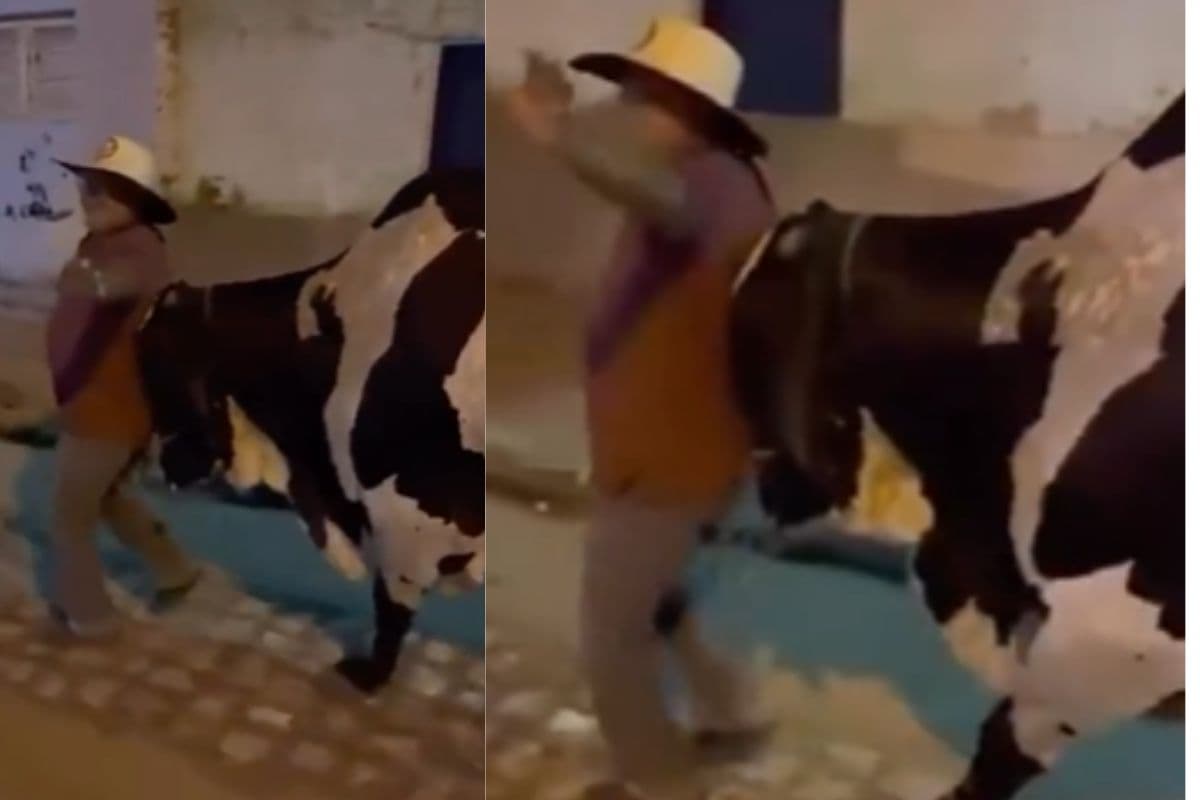 Viral Video: सांड का दिखा अनोखा अंदाज, पहुंचा दिया अपने शराबी मालिक को घर