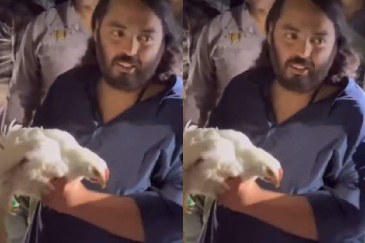 मुर्गियों के लिए भगवान बने अनंत अंबानी, सोशल मीडिया पर वीडियो वायरल