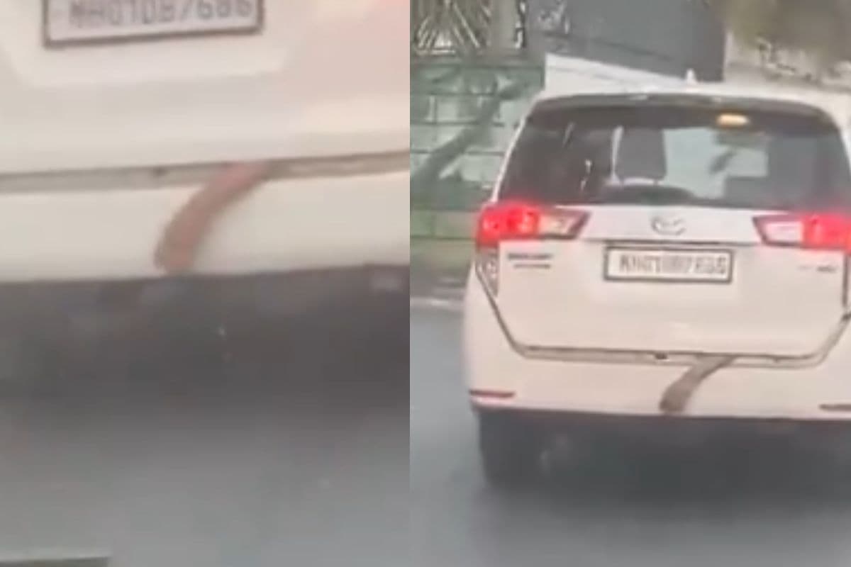 Viral Video: डिक्की से लटकता हाथ, सड़क पर फैला डर, वायरल वीडियो ने उड़ाए होश