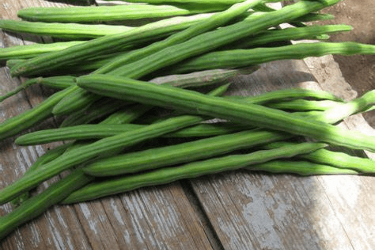 Benefits Of Drumstick: सेहत का खजाना है इस सब्जी में, डायबिटीज से लेकर हृदय के लिए है फायदेमंद