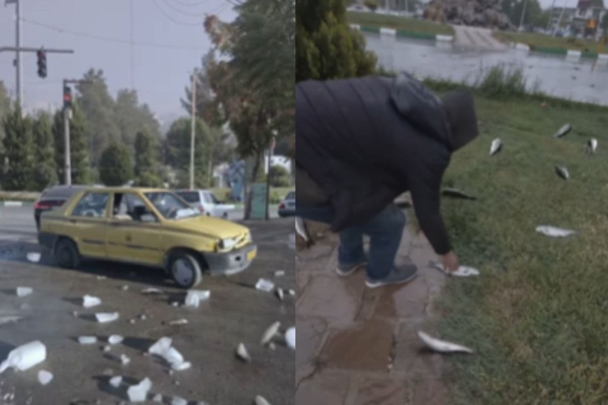 Viral Video: आंखों पर नहीं होगा यकीन! होने लगी आसमान से मछलियों की बारिश, देखें वीडियो
