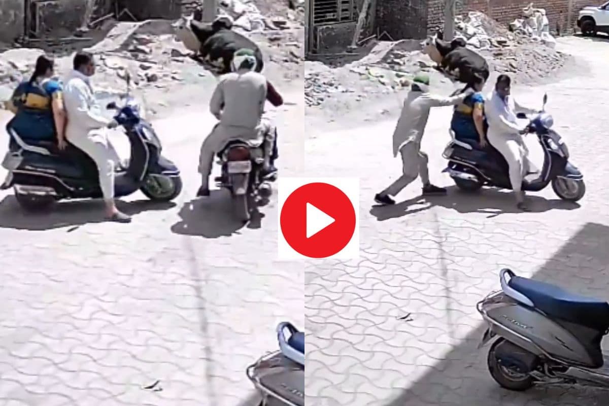 Viral Video: दिनदहाड़े महिला से छिनतई, ऐसी शर्मनाक करतूत देख फट जाएगा कलेजा, वायरल हो रहा वीडियो