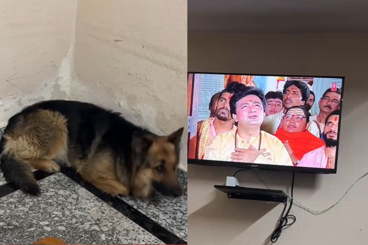 Viral Video: हनुमान चालीसा पर कुत्ते का ये रिएक्शन आपको कर देगा दीवाना, तेजी से वायरल हो रहा वीडियो