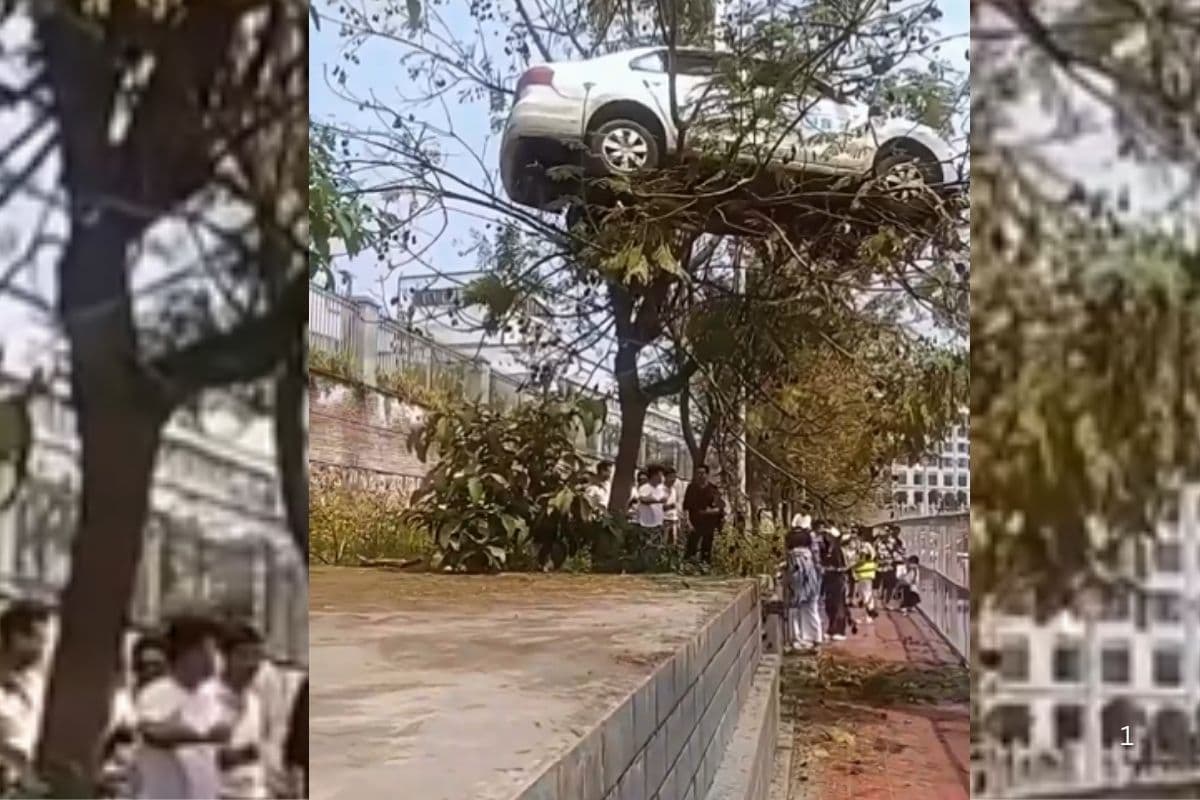 Viral Video: उड़ने वाली कार! पार्किग देखकर तो चौंक जाएंगे, वायरल हो रहा वीडियो