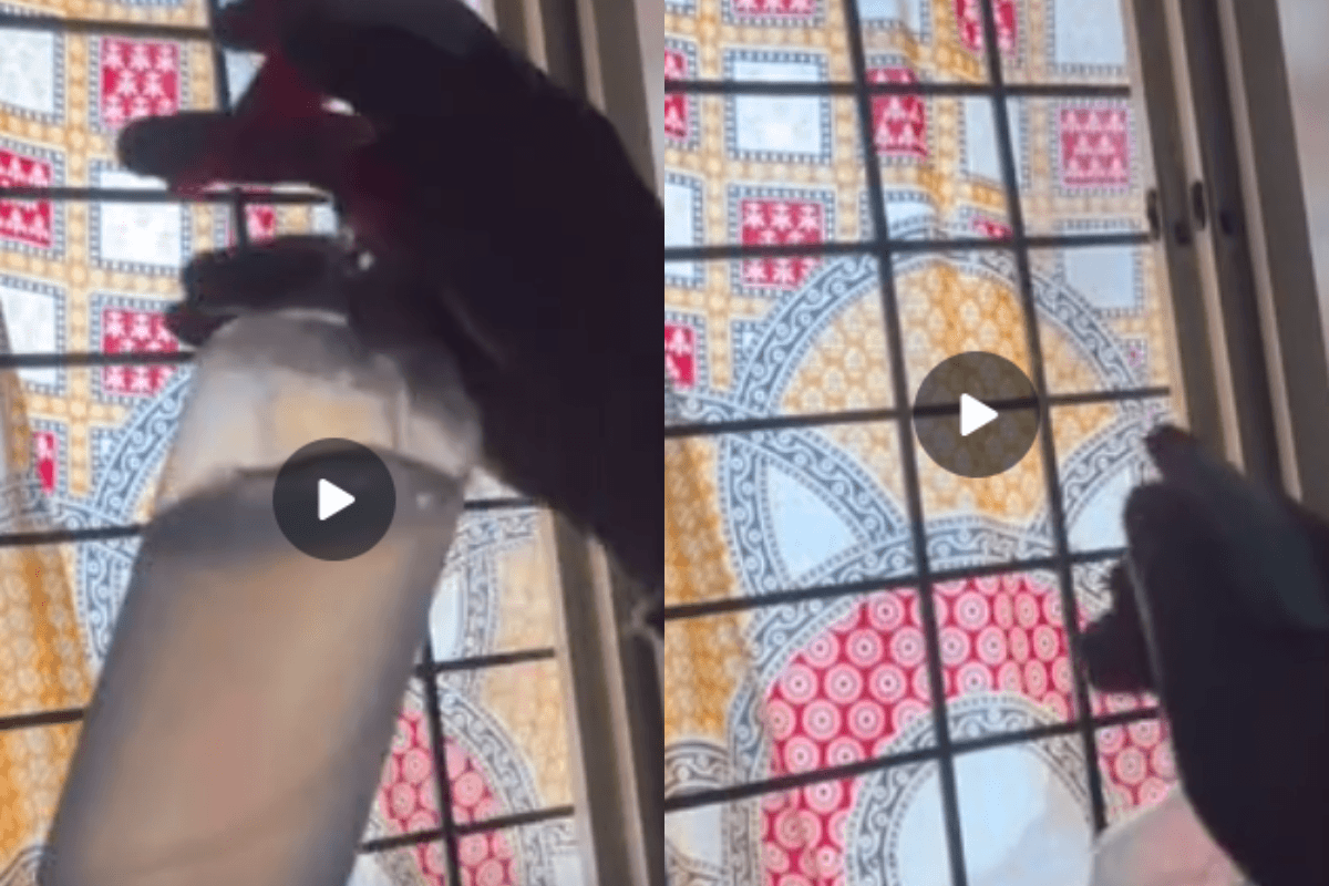 Video: अब तपती गर्मी में भी सुपर कूल रहेगा कमरा, इस ट्रिक से 0 रुपए में दूर करें भीषण गर्मी