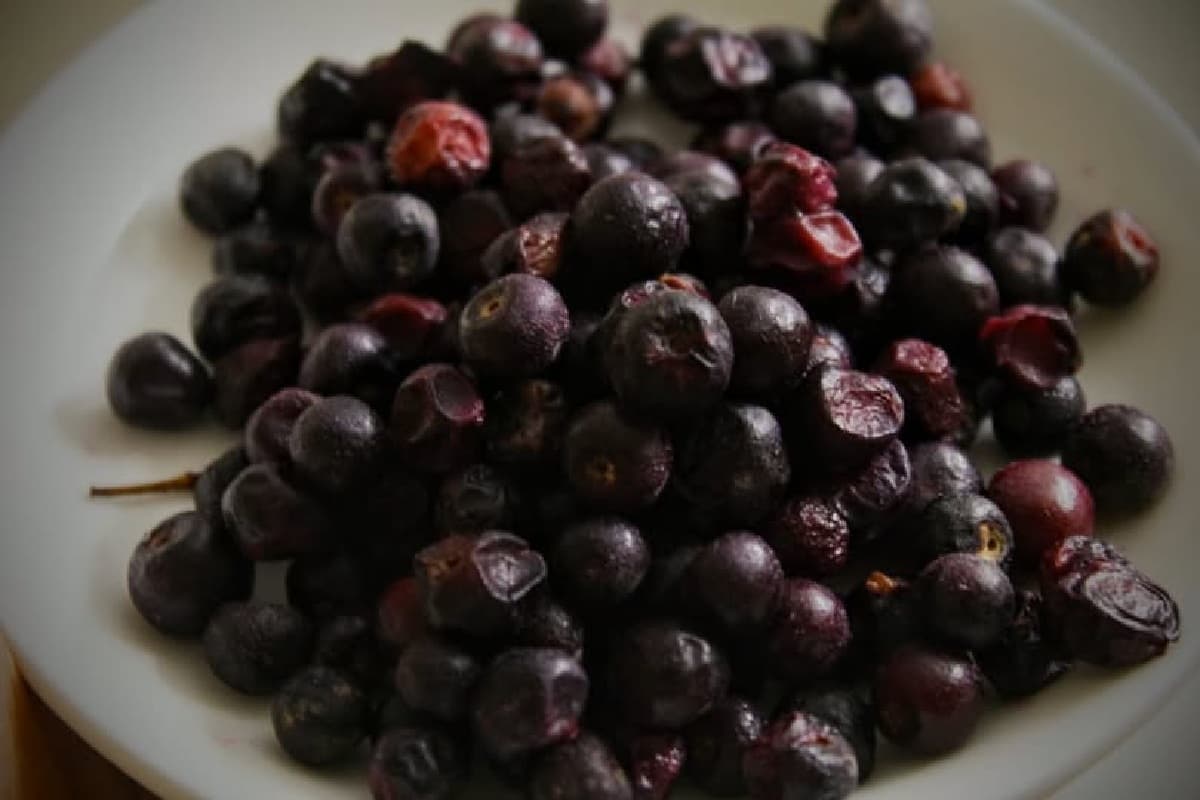 Health: गुणों की खान है फालसा, क्या आप जानते हैं इस छोटे से फल के चमत्कारी लाभ के बारे में?