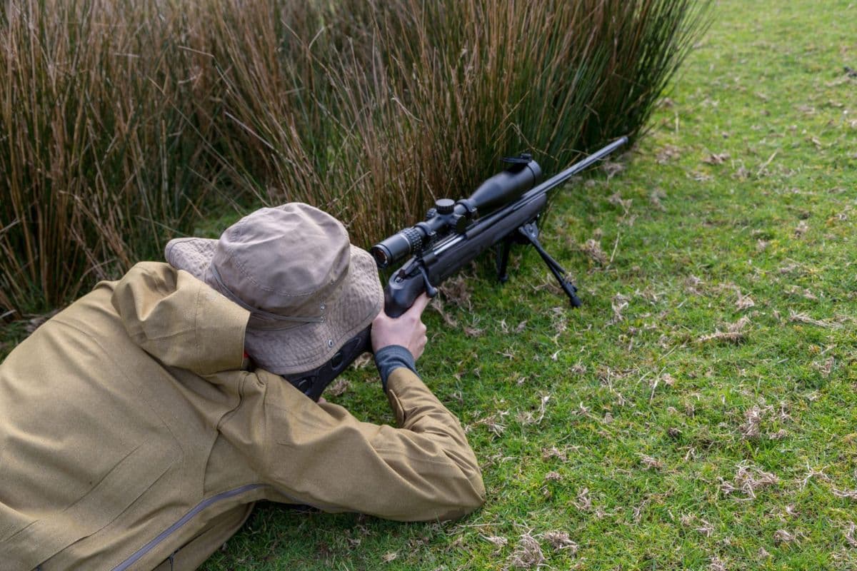 Bihar News: पटना में इन दो जानवरों का खौफ, गोली मारने का फरमान जारी