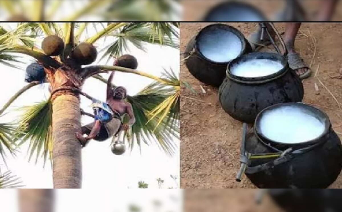 जाति और भूमि के बाद बिहार में एक और सर्वे, सरकार अब करेगी लबनी की गिनती