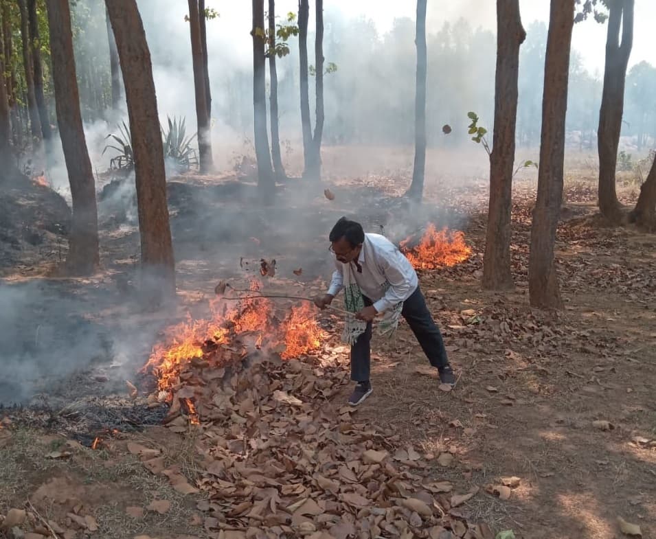 Bokaro News : करमा व सेवाती जंगल में लगी आग, घंटों की मशक्कत के बाद पाया काबू