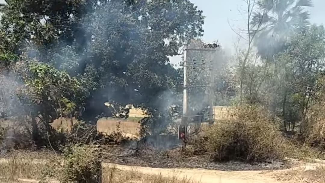 शंभुगंज के दो अलग-अलग बगीचे में लगी आग, कई वृक्ष झुलसे