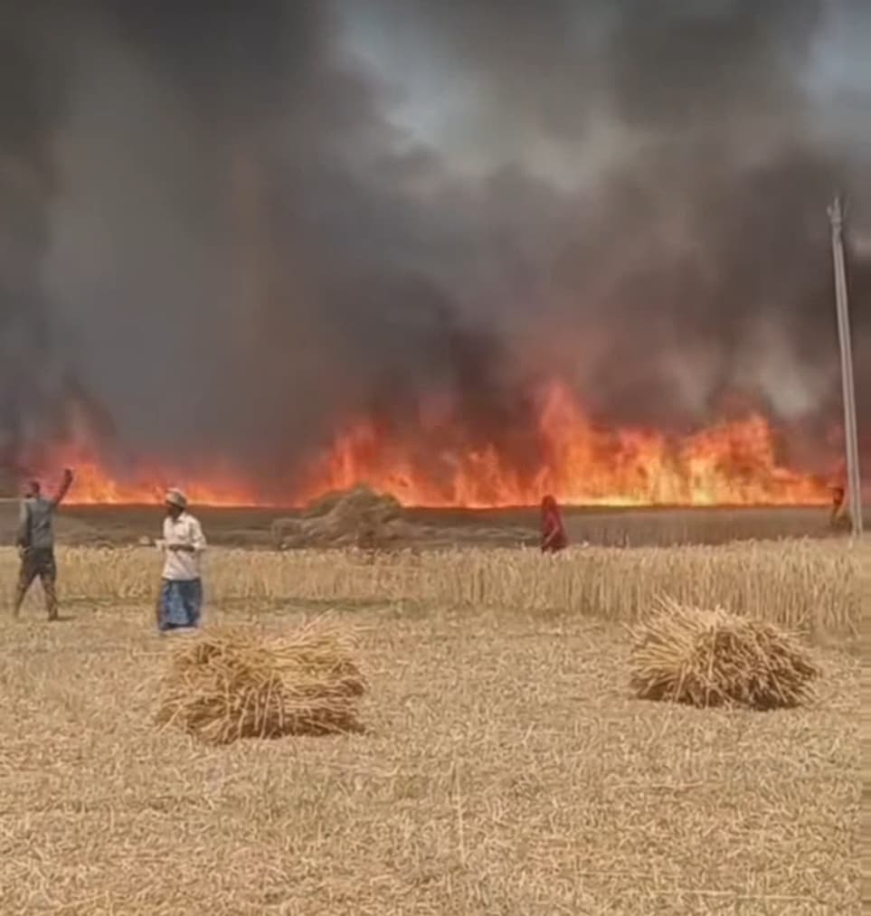 Fire incident in Samastipur:धर्मपुर बांदे में 11 घर जले, चकपहाड़ में 40 बीघा गेहूं स्वाहा