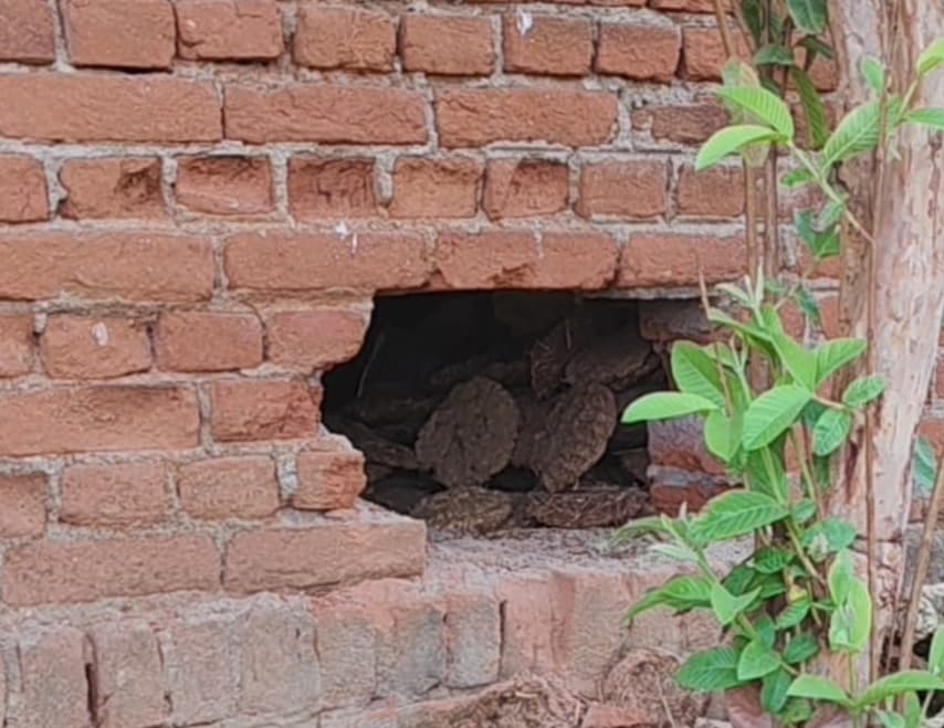 बानाडीह में दो घरों में चोरी, हजारों मूल्य के सामान ले उड़े चोर