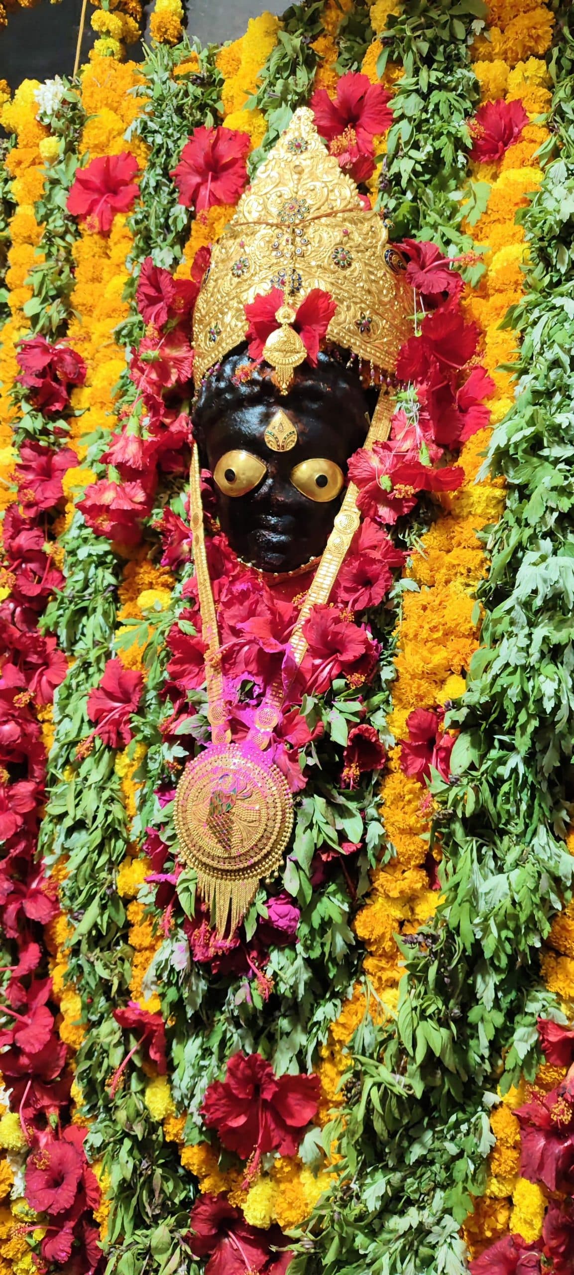 Kaimur New : मुंडेश्वरी धाम में मां कुष्मांडा की पूजा कर भक्तों ने मांगी सुख-समृद्धि