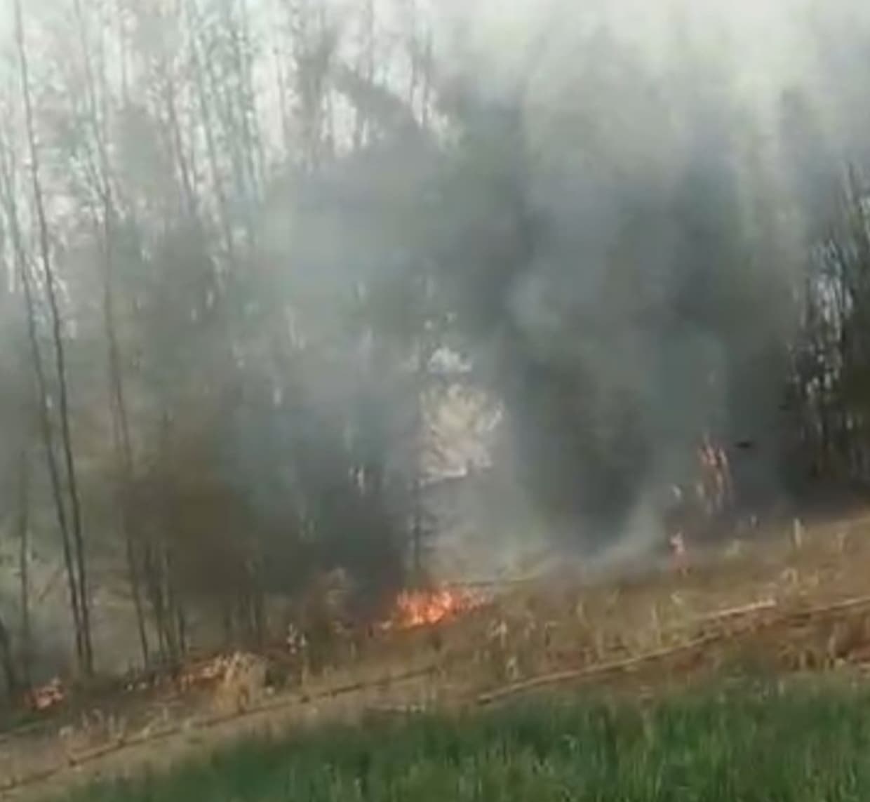 बांस के बेड़े में लगी आग, पड़ोसी पर आग लगाने का आरोप