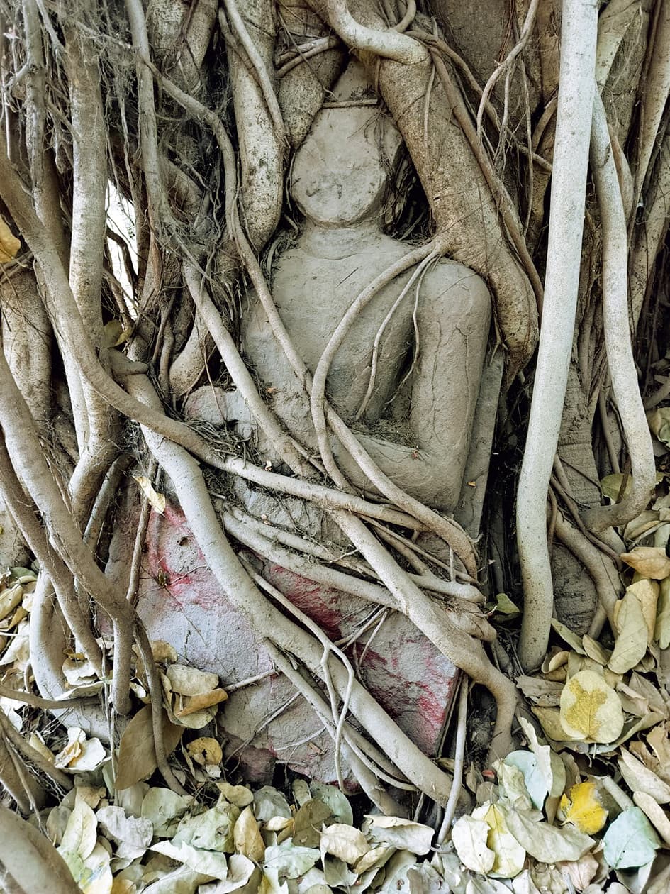 Buxar News : जैन तीर्थंकर की प्राचीन मूर्ति को संग्रहालय में रखवाने की गुहार